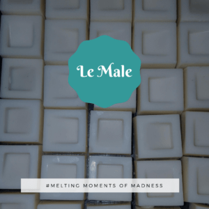 Le Male Wax Melts