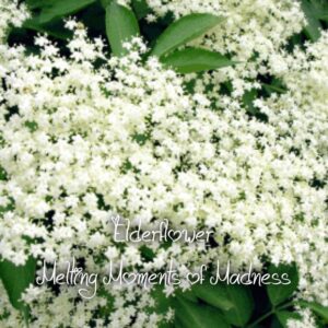 Elderflower Wax Melts