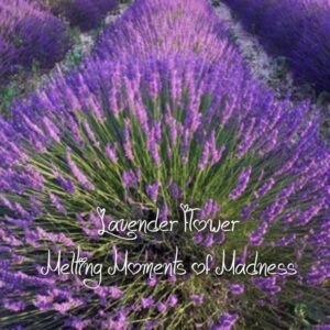 Lavender Flowers Wax Melts